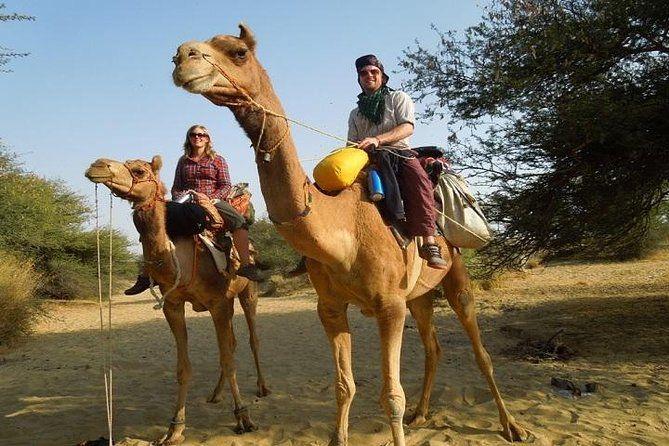 Private Chandigarh Day Trip