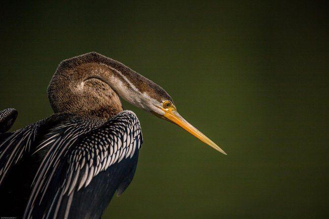 Bharatpur Bird Sanctuary from Delhi