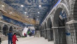 temp_image_DEL_Meta_C1_CATTTD_subcat_B7_1_0_d3466713b5