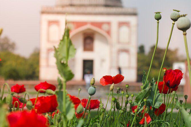 Sunder Nursery Heritage Garden Walking Tour