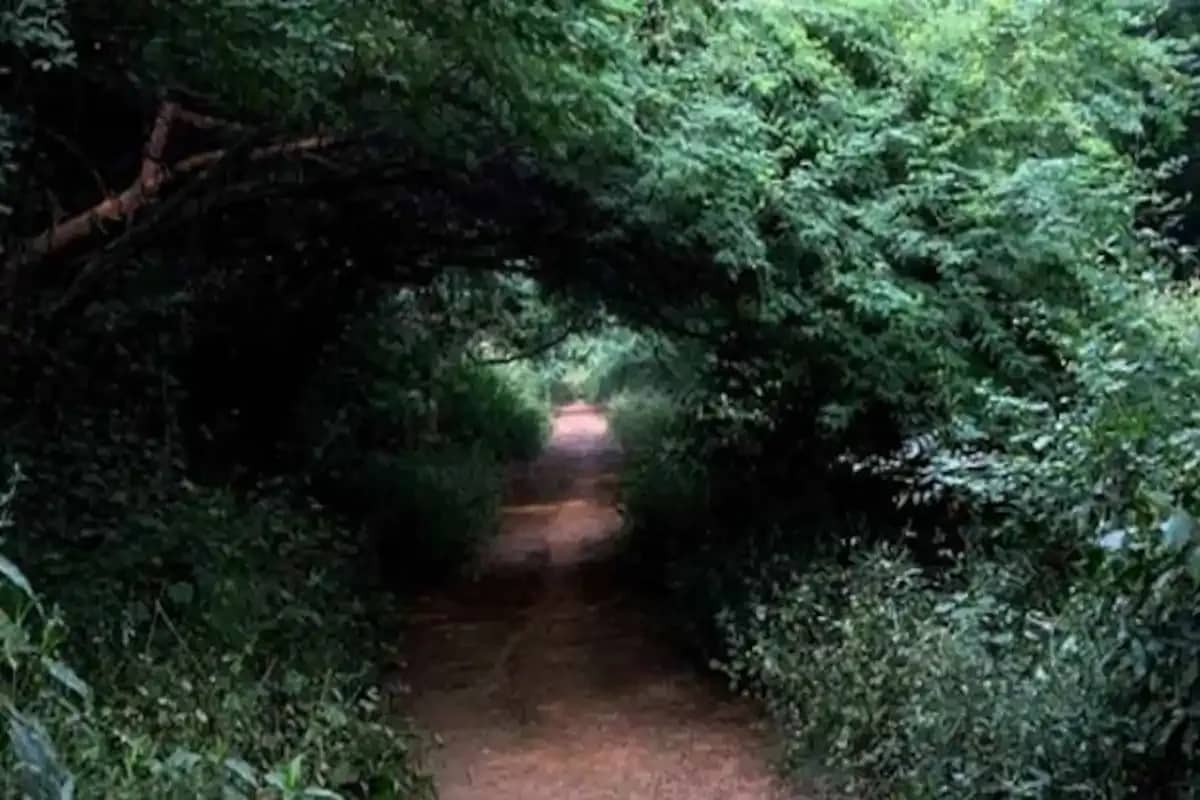 Sanjay Van