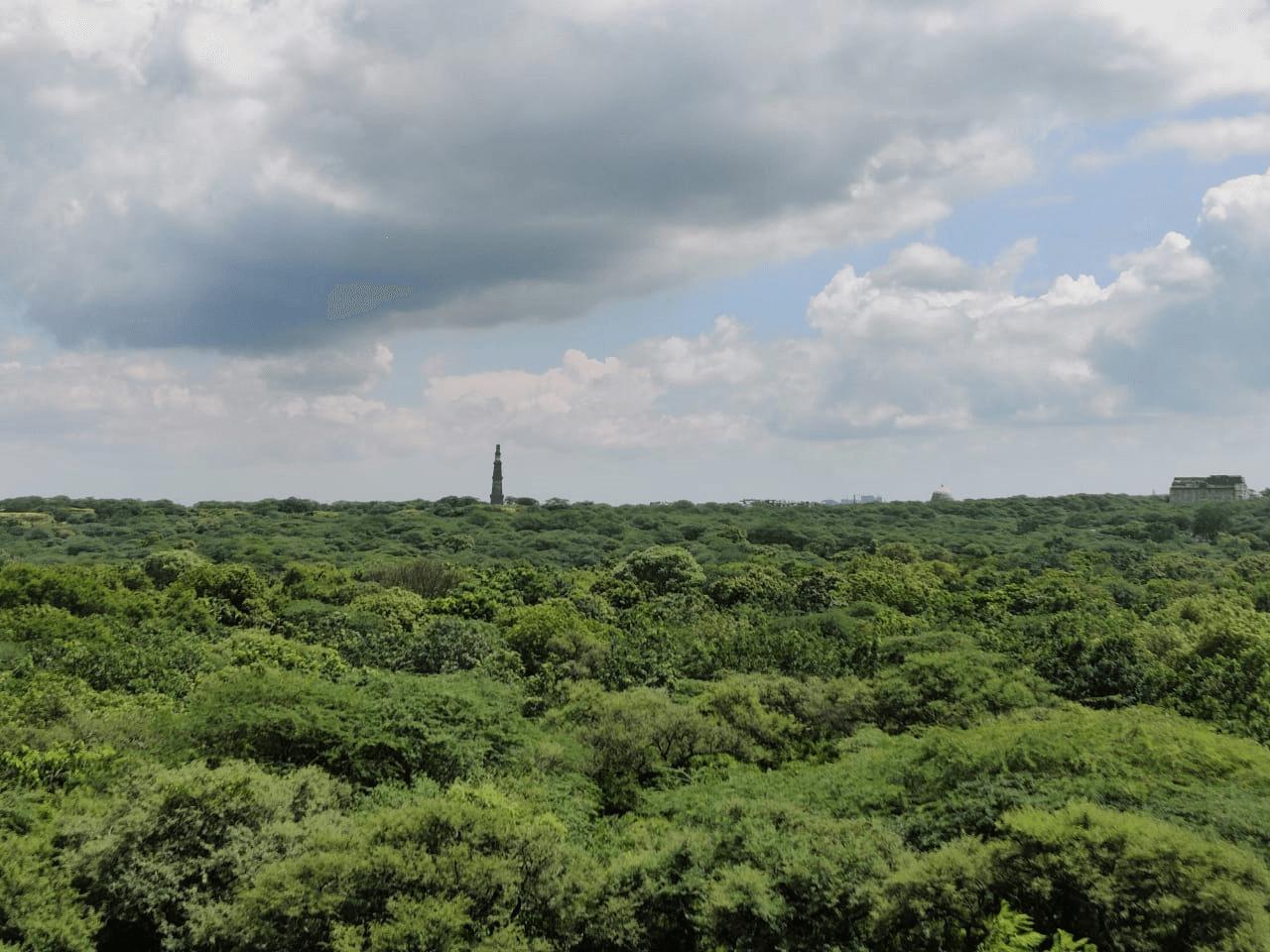 Sanjay Van