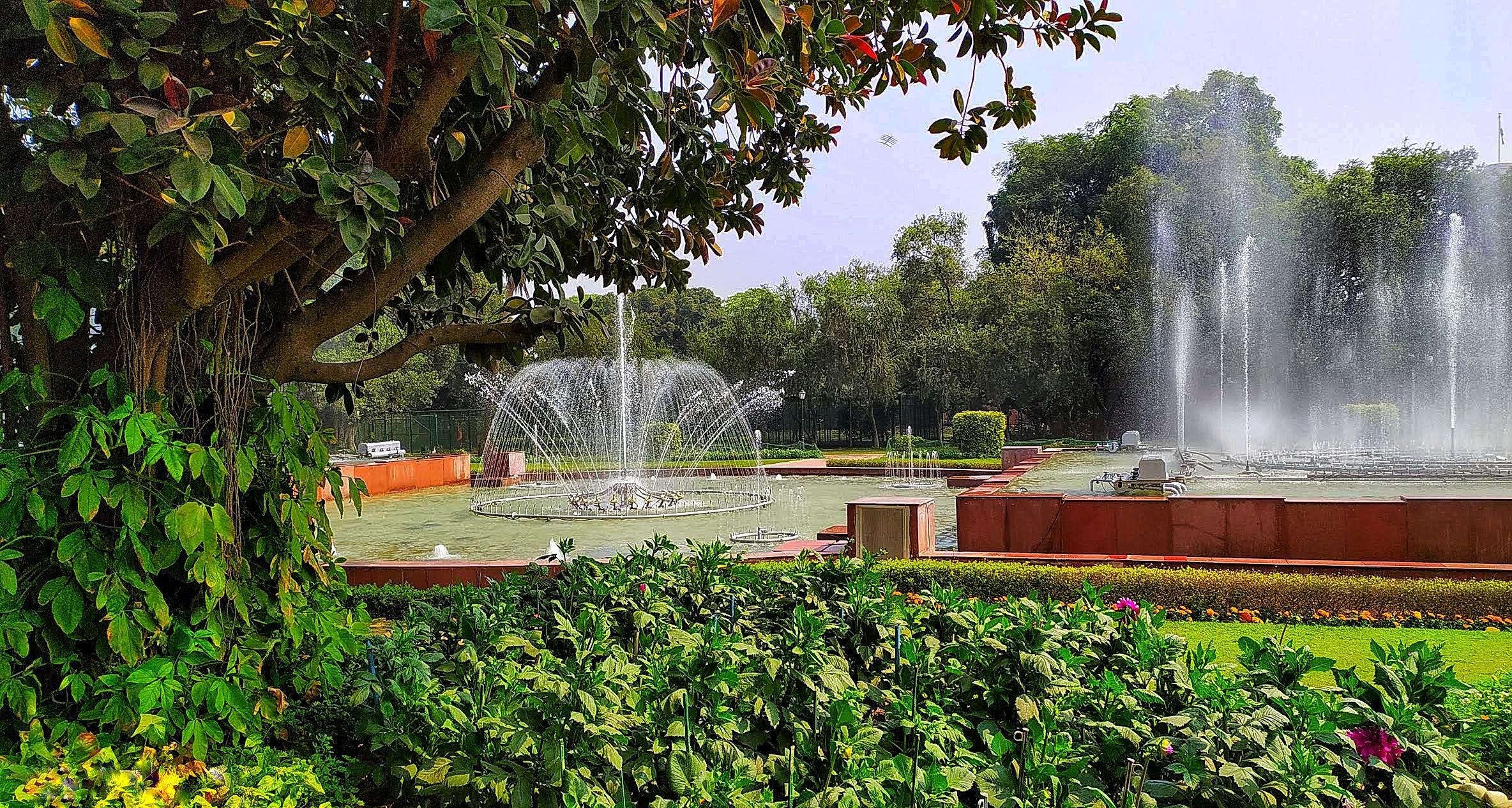 Amrit Udyan, Rashtrapati Bhavan