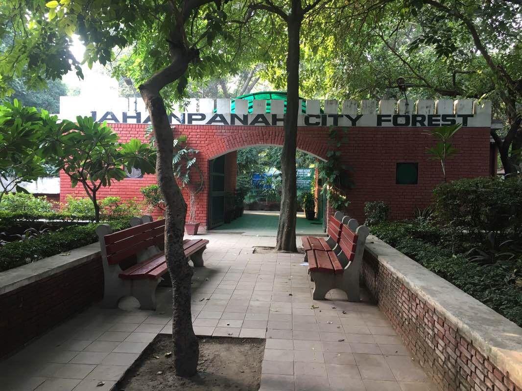 Jahanpanah City Forest
