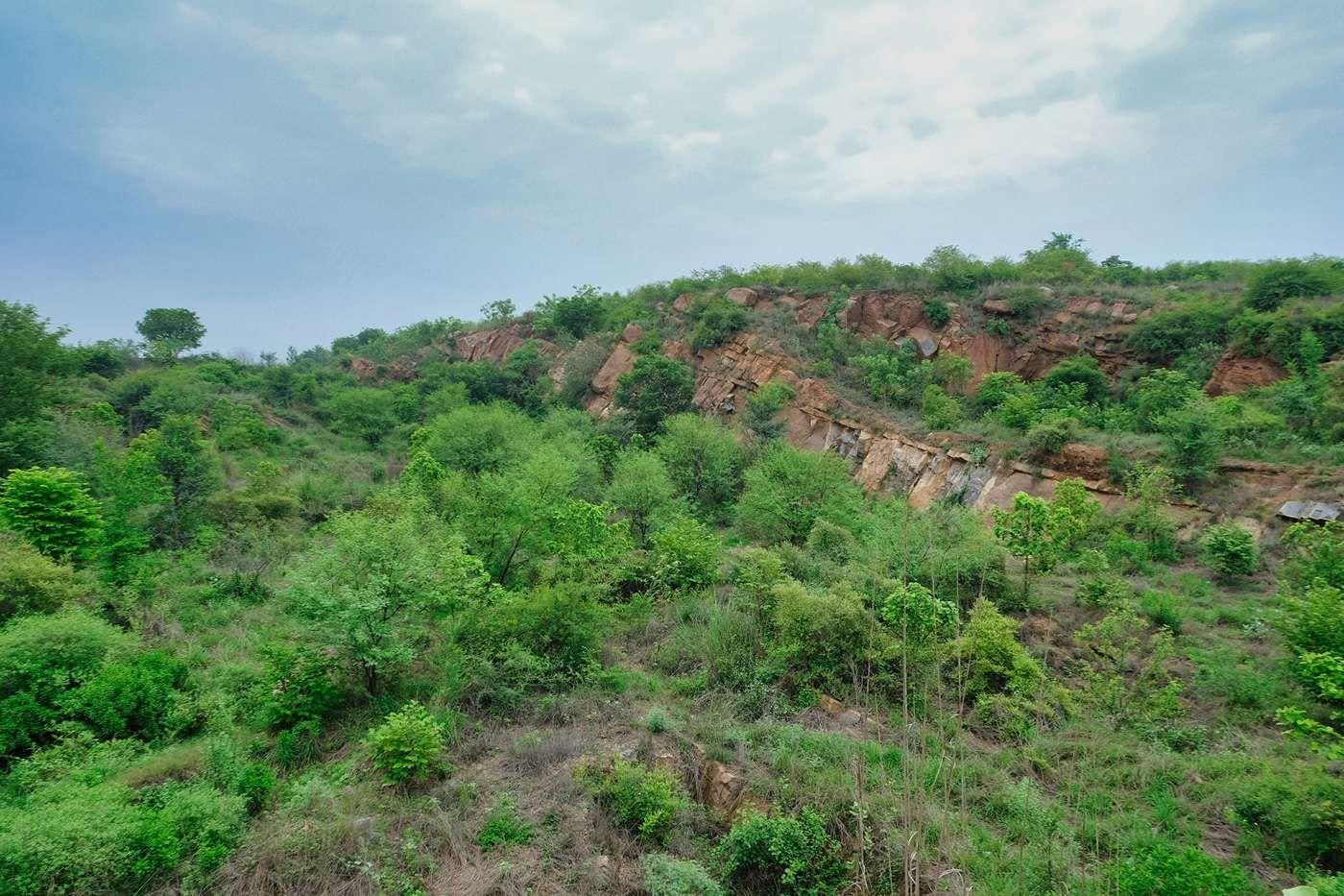Aravali Biodiversity Park