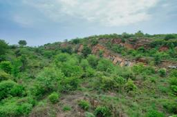 Aravali Biodiversity Park