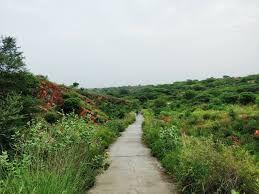 Aravali Biodiversity Park