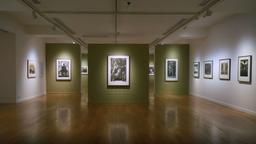 temp_image_DEL_Meta_C1_CATTTS_subcat_A12_3_0_4870bfc6a8