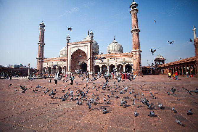 Full Day Old And New Delhi City Tour