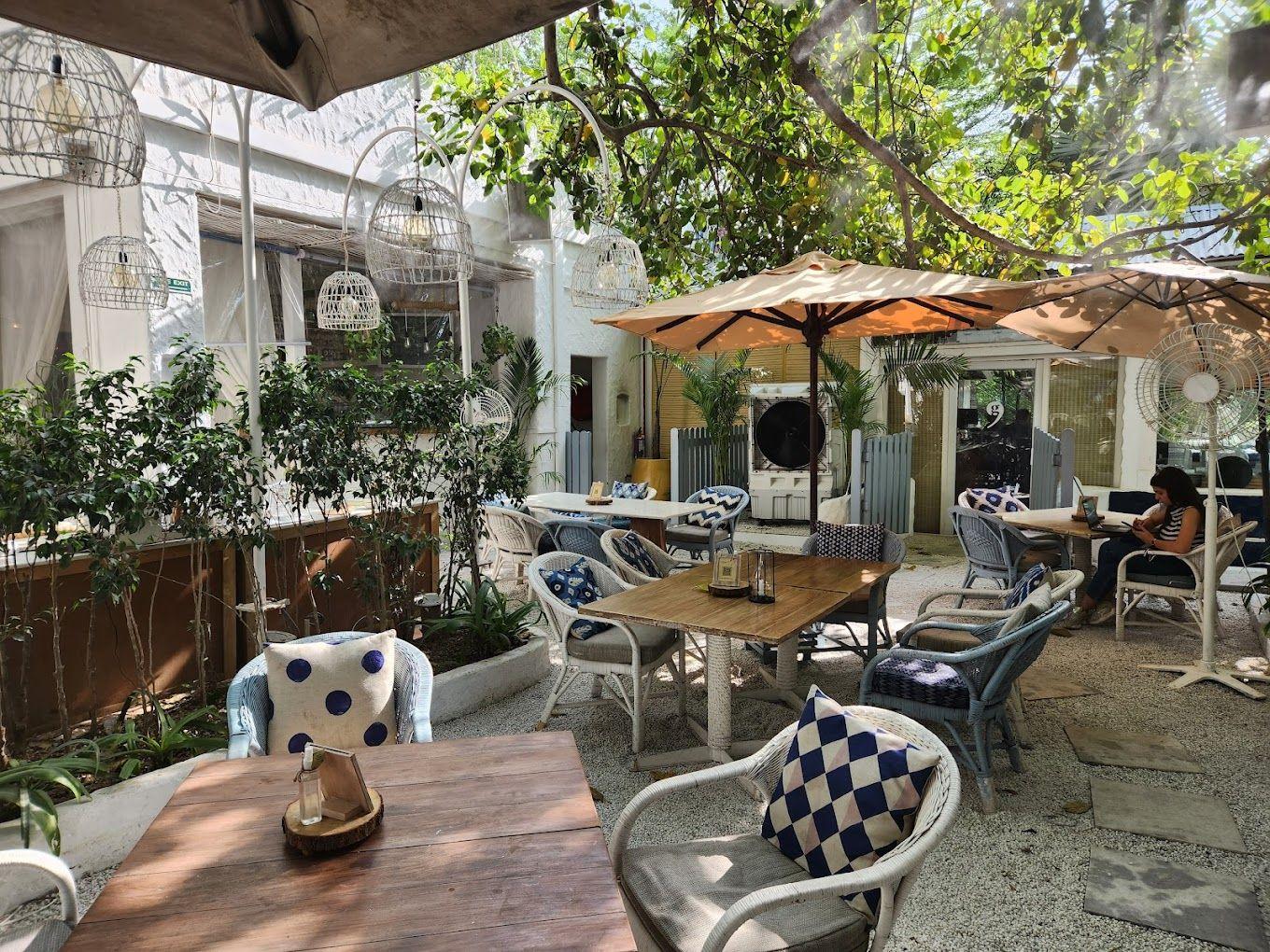 Olive Bar And Kitchen