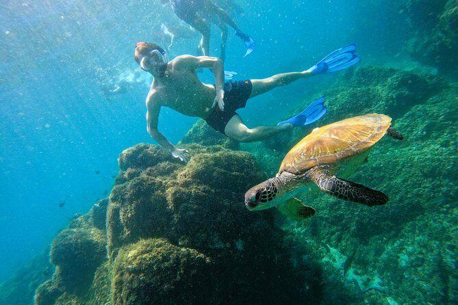 Snorkeling with turtles in Fujairah & BBQ lunch