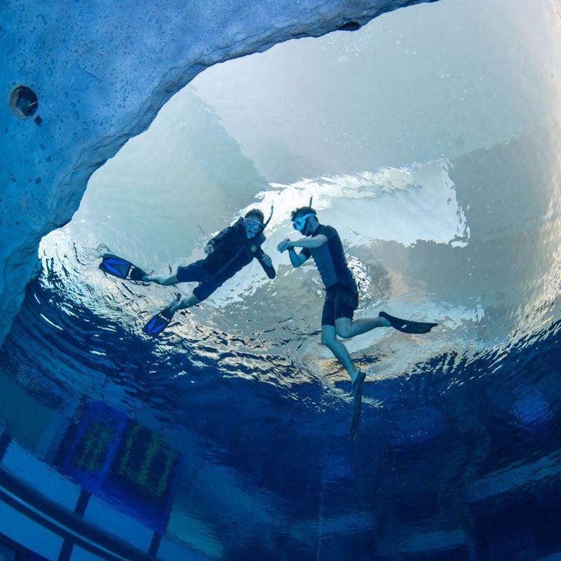 Snorkeling at Deep Dive Dubai