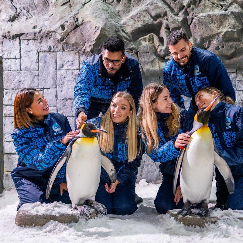 Ski Dubai: Snow Park (Classic, Plus or Premium)