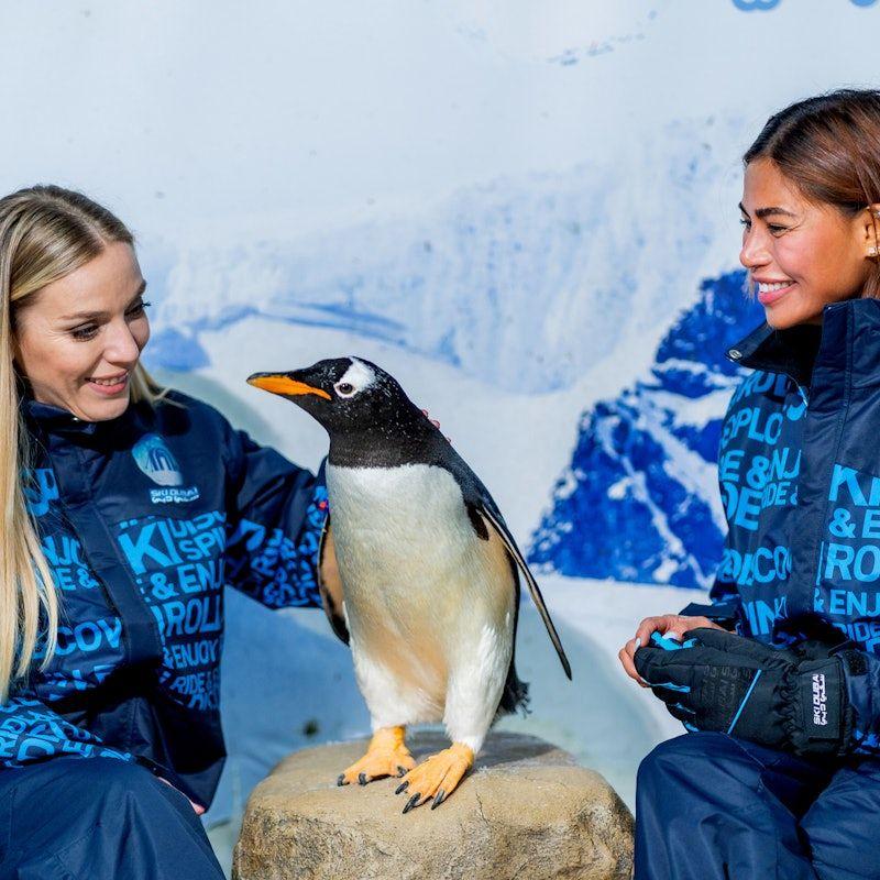 Ski Dubai: Snow Park (Classic, Plus or Premium)