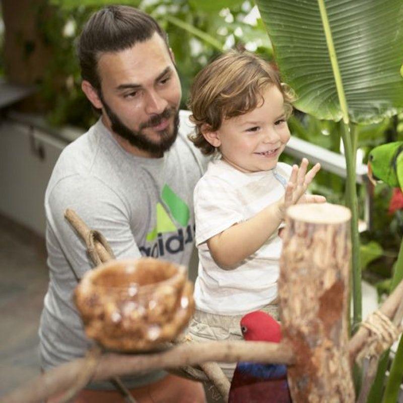 The Green Planet: Skip The Line Ticket