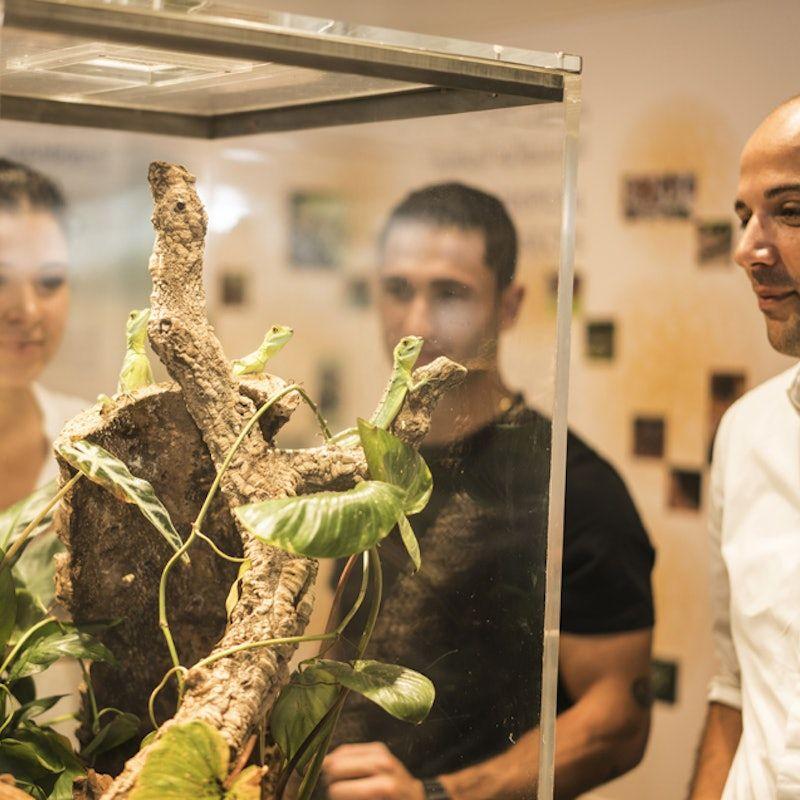 The Green Planet: Skip The Line Ticket