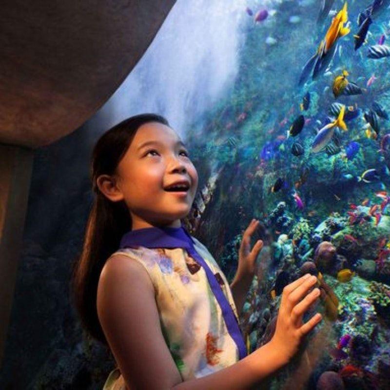 The Lost Chambers Aquarium: Entry Ticket