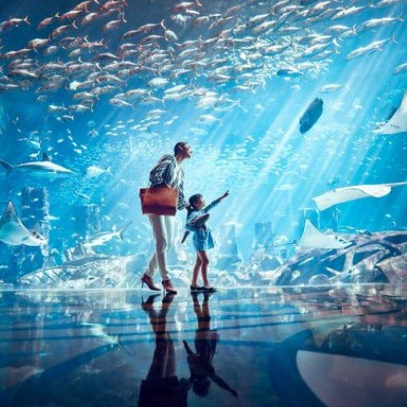 The Lost Chambers Aquarium: Entry Ticket