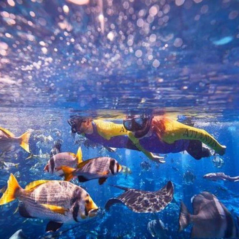 The Lost Chambers Aquarium: Entry Ticket