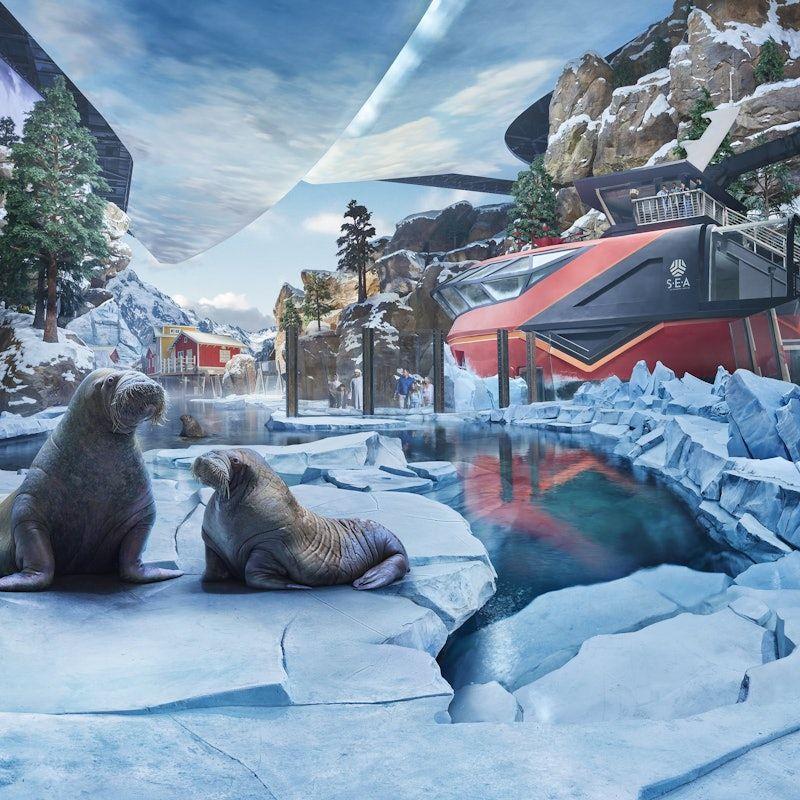 SeaWorld Abu Dhabi: Entry Ticket