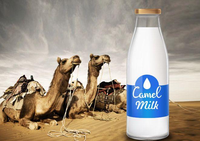 Camel Milk