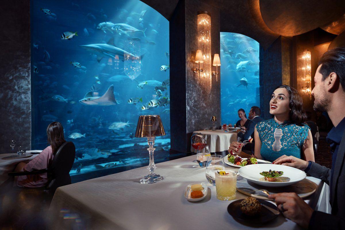 Ossiano, Atlantis The Palm
