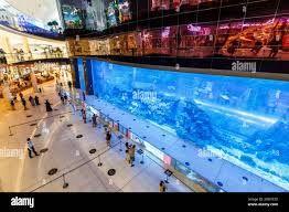 Dubai Mall