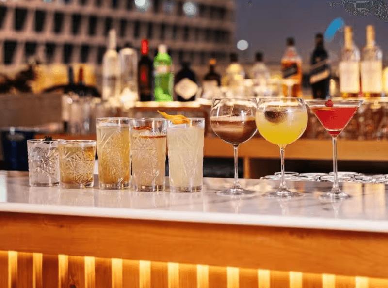 Soho Garden-The Palm