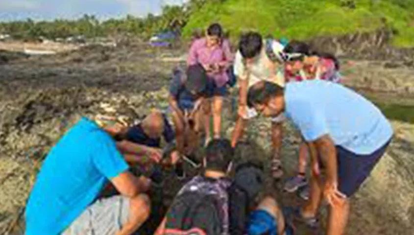 Tide Pool Walk with Marine Life of Goa