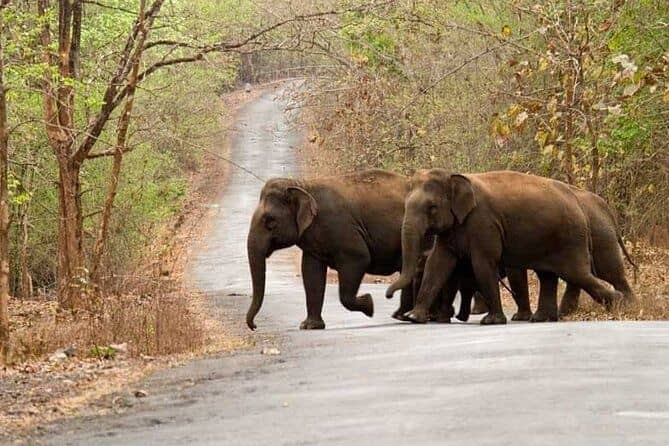 Anshi National Park