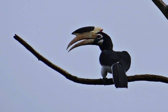 Anshi National Park