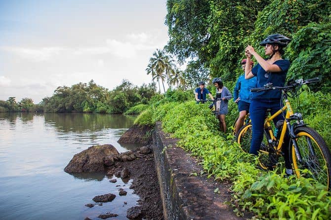 BLive Electric Bike Tours – Discovery of Divar Island