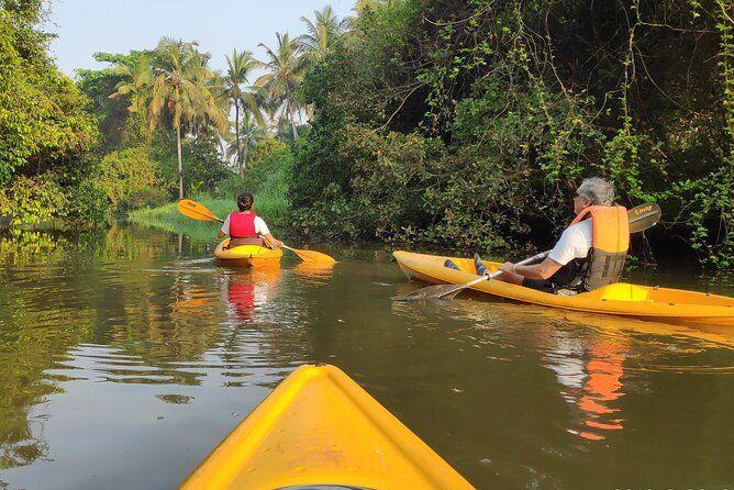 Goa Kayaking Sal Backwaters Mangroves Magic