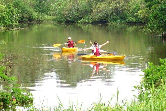 Goa Kayaking Sal Backwaters Mangroves Magic