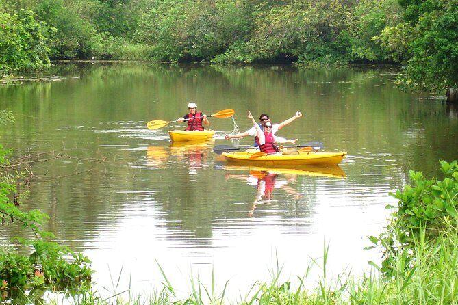 Goa Kayaking Sal Backwaters Mangroves Magic
