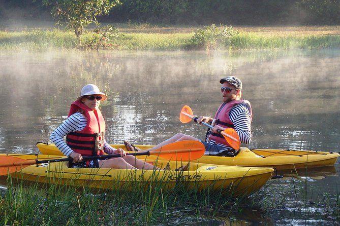 Mangroves Magic Goa Kayaking Experience