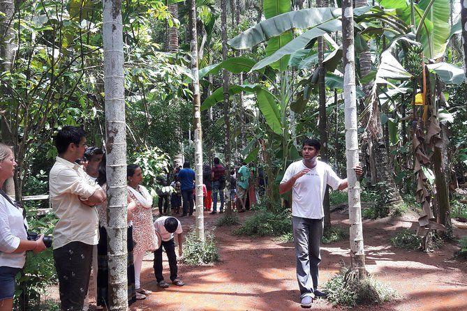 Mangeshi Temple + Old Goa Churches + Spice Plantation