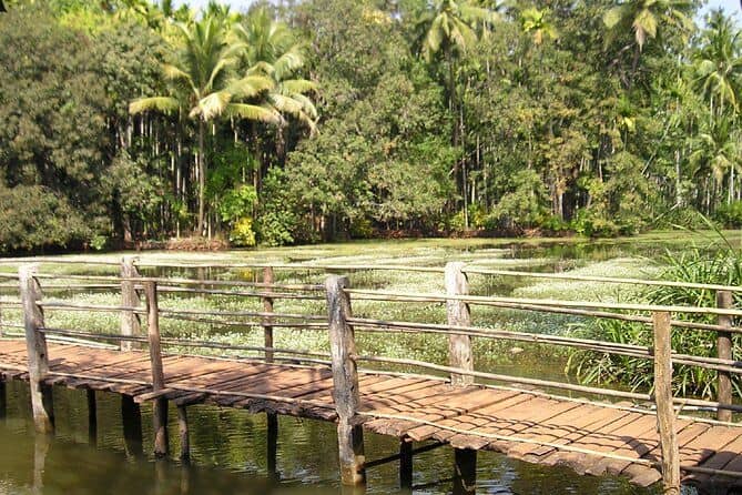 Shantadurga Temple + South Goa with Spice Plantation Tour