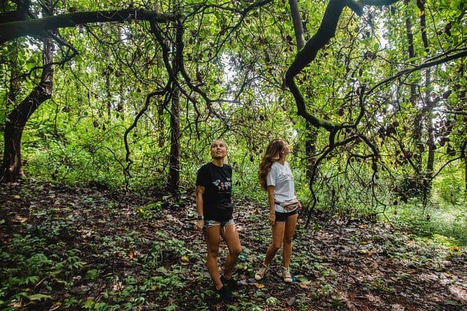The Nature Trail at Chorao Island
