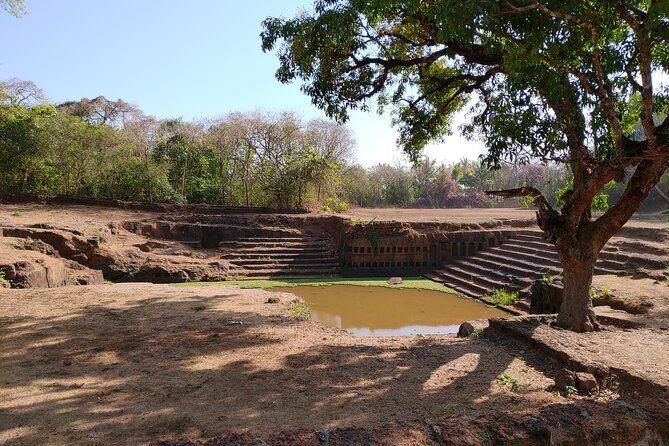 The Divar Island Exploration