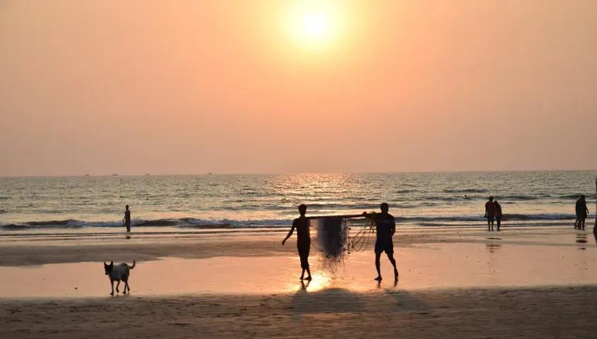 temp_image_GOI_Meta_C1_CATTTS_subcat_A14_2_3_e9e0079152