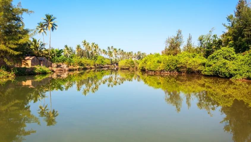 Ashvem & Mandrem Beach