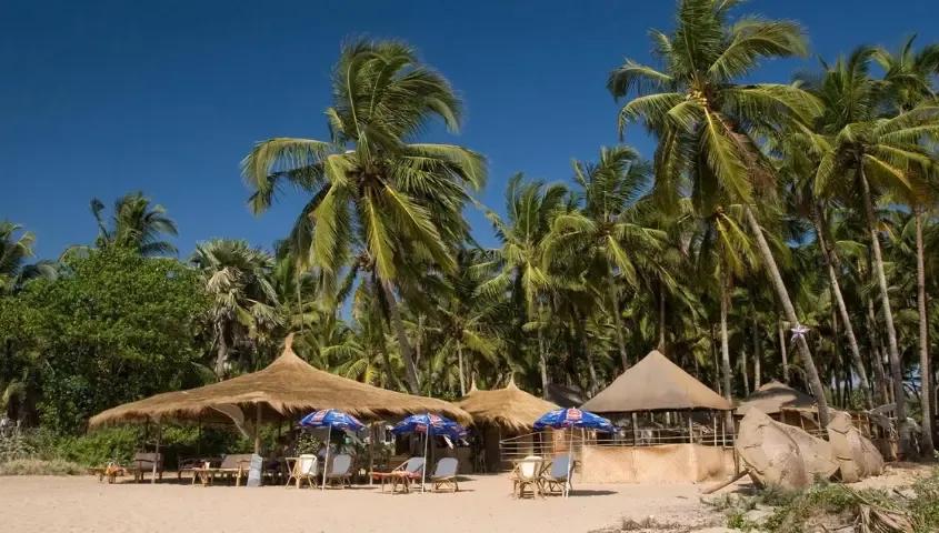 temp_image_GOI_Meta_C1_CATTTS_subcat_A15_5_1_e22caff938