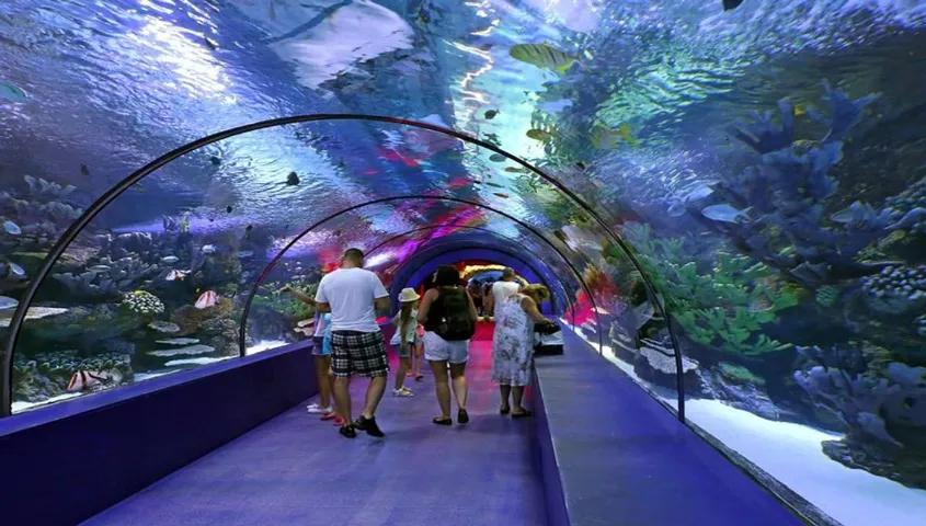 Benz Wax Museum & Aquarium