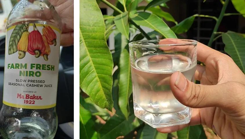 temp_image_GOI_Meta_C2_CATFBD_subcat_D3_listiclecat_D3_4_0_7d568de97d