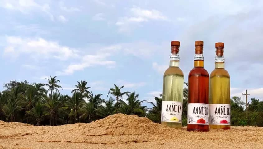 Coconut feni