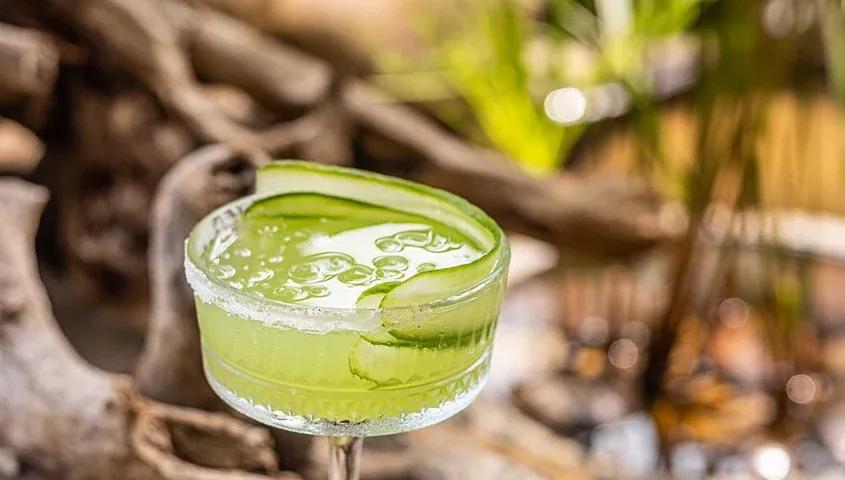 temp_image_GOI_Meta_C2_CATFBD_subcat_E11_1_2_8e54c04c8b