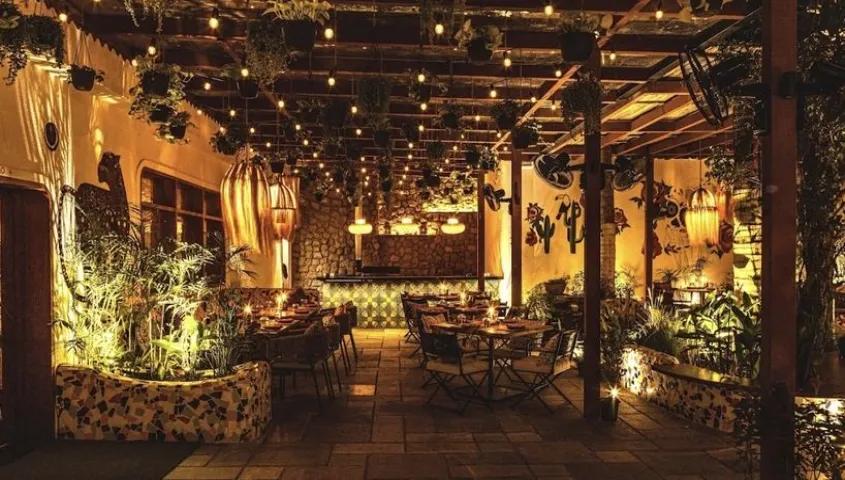 temp_image_GOI_Meta_C2_CATFBD_subcat_E11_1_4_8122decfa0