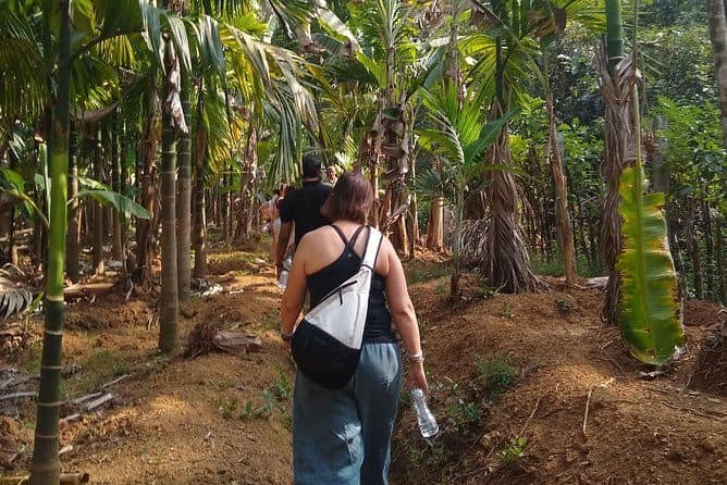 Goan Village Life Tour