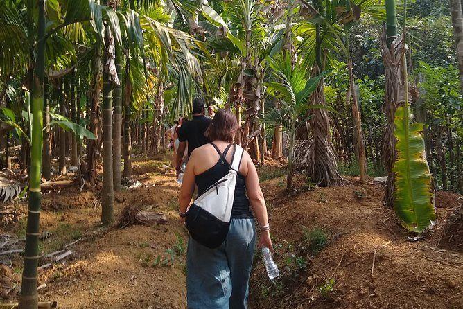 Goan Village Life Tour